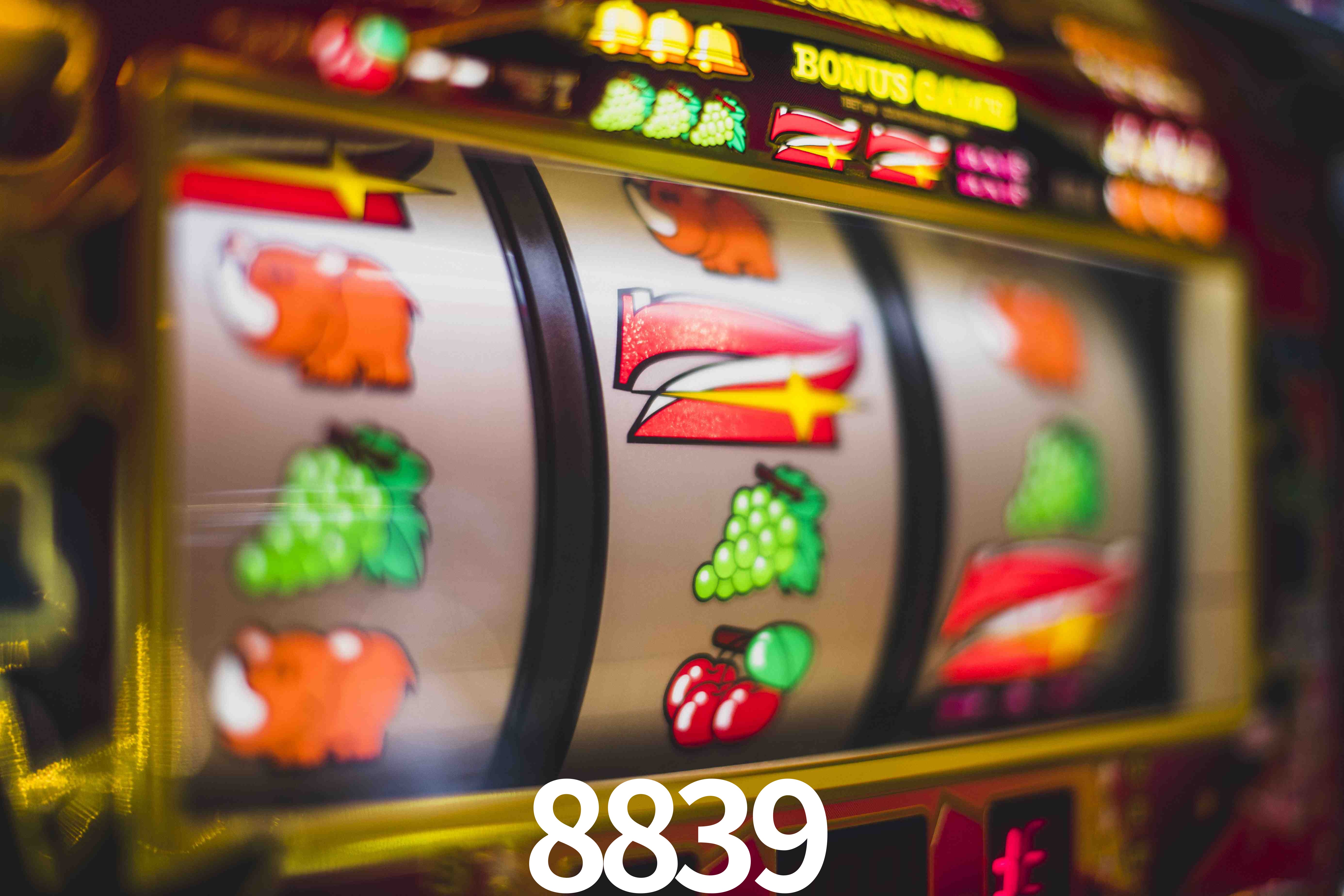 Tennis Betting 8839